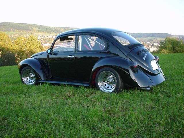 manulubug (1).jpg