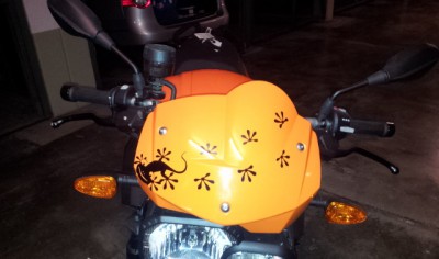 20131123_120542.jpg