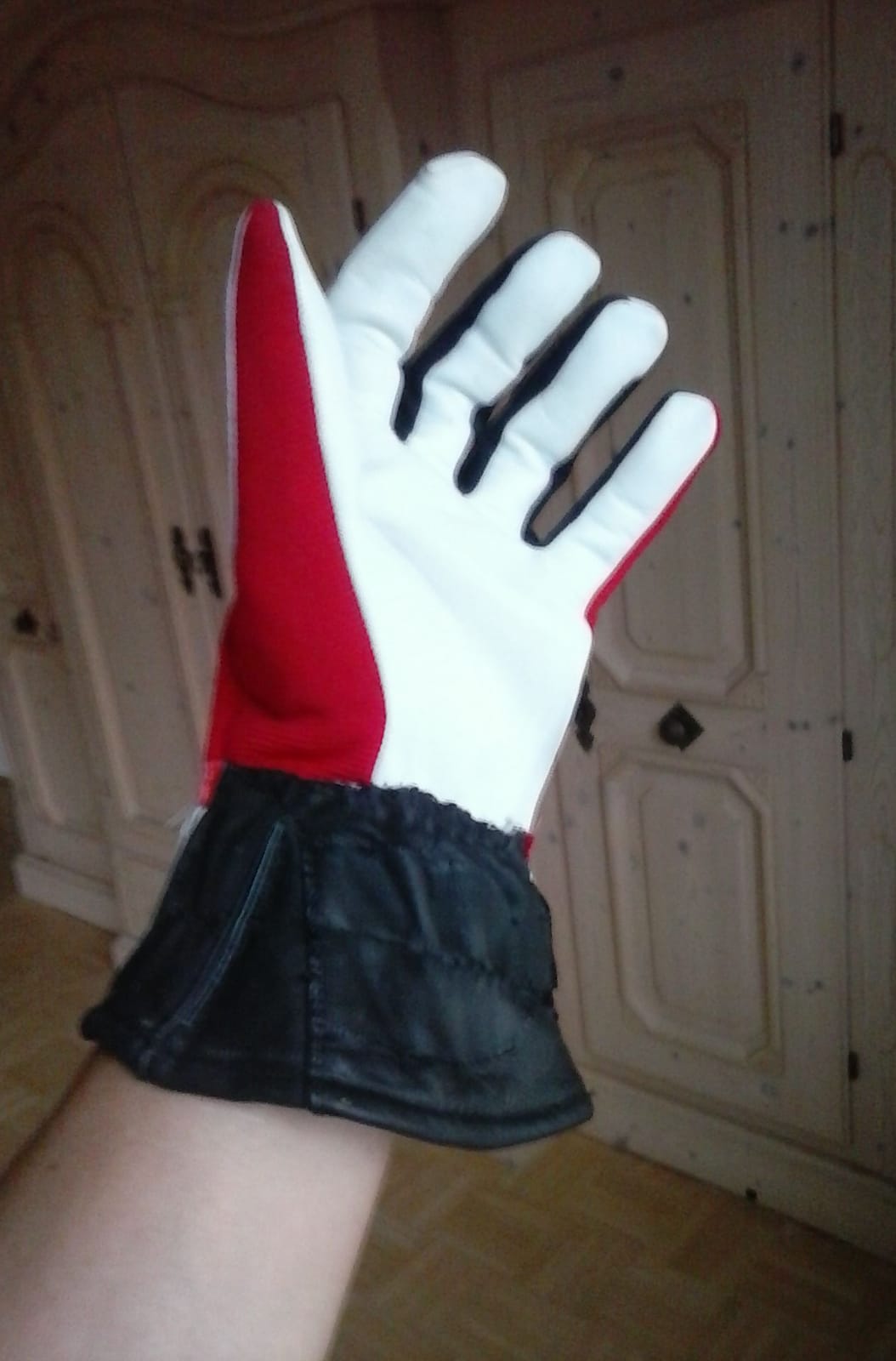 Motorradhandschuh 2.jpg